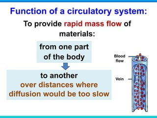 Function of a circulatory system:
To provide rapid mass flow of
materials:
Blood
flow
Vein
from one part
of the body
to another
over distances where
diffusion would be too slow
 