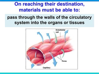 On reaching their destination,
materials must be able to:
pass through the walls of the circulatory
system into the organs or tissues
 