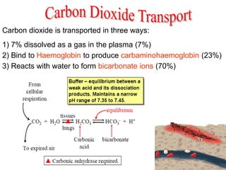 Carbon dioxide is transported in three ways:
1) 7% dissolved as a gas in the plasma (7%)
3) Reacts with water to form bicarbonate ions (70%)
2) Bind to Haemoglobin to produce carbaminohaemoglobin (23%)
 