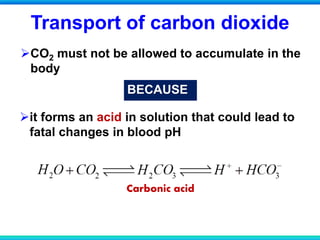 Transport of carbon dioxide
CO2 must not be allowed to accumulate in the
body
it forms an acid in solution that could lead to
fatal changes in blood pH
BECAUSE
Carbonic acid
 