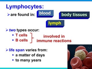 are found in:
Lymphocytes:
blood
lymph
body tissues
two types occur:
 T cells
 B cells
life span varies from:
 a matter of days
 to many years
involved in
immune reactions
 