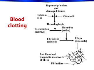 Blood
clotting
 
