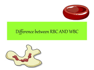 Difference between RBC AND WBC
 