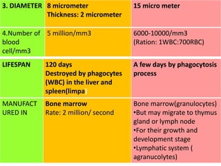 LIFESPAN 120 days
Destroyed by phagocytes
(WBC) in the liver and
spleen(limpa)
A few days by phagocytosis
process
MANUFACT
URED IN
Bone marrow
Rate: 2 million/ second
Bone marrow(granulocytes)
•But may migrate to thymus
gland or lymph node
•For their growth and
development stage
•Lymphatic system (
agranucolytes)
3. DIAMETER 8 micrometer
Thickness: 2 micrometer
15 micro meter
4.Number of
blood
cell/mm3
5 million/mm3 6000-10000/mm3
(Ration: 1WBC:700RBC)
 