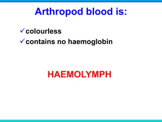 Arthropod blood is:
colourless
contains no haemoglobin
HAEMOLYMPH
 