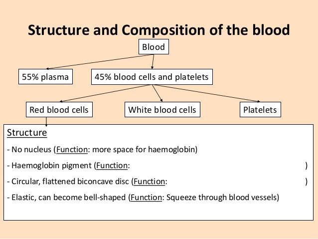 BIOLOGY FORM 5 CHAPTER 1 1 2 CIRCULATORY SYSTEM