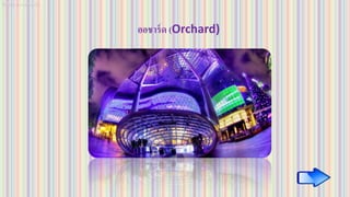 ออชาร์ด (Orchard)
 