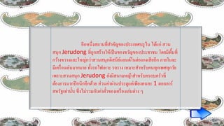 อีกหนึ่งสถานที่สาคัญของประเทศบรูไน ได้แก่ สวน
สนุก Jerudong ที่ถูกสร้างให้เป็นของขวัญของประชาชน โดยมีพื้นที่
กว้างขวางและใหญ่กว่าสวนสนุกดิสนีย์แลนด์ในฮ่องกงเสียอีก ภายในจะ
มีเครื่องเล่นมากมาย ทั้งรถไฟเหาะ รถราง เหมาะสาหรับคนทุกเพศทุกวัย
เพราะสวนสนุก Jerudong ยังมีสนามหญ้าสาหรับครอบครัวที่
ต้องการมากปิกนิกอีกด้วย ส่วนค่าผ่านประตูแค่เพียงคนละ 1 ดอลลาร์
สหรัฐเท่านั้น ซึ่งไม่รวมกับค่าตั๋วของเครื่องเล่นต่าง ๆ
 