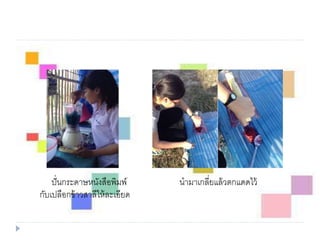 ปั่นกระดาษหนังสือพิมพ์ นามาเกลี่ยแล้วตกแดดไว้
กับเปลือกข้าวสาลีให้ละเอียด
 