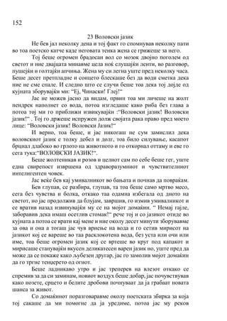 152
23 Воловски јазик
Не бев јал неколку дена и тој факт го спомнував неколку пати
во тоа поетско катче каде неговата тенка жена се грижеше за него.
Тој беше огромен брадосан вол со мозок двојно поголем од
светот и ние двајцата минавме цела ноќ слушајќи ленти, во разговор,
пушејќи и голтајќи апчиња. Жена му си легна уште пред неколку часа.
Беше десет претпладне и сонцето блескаше без да води сметка дека
ние не сме спале. И следно што се случи беше тоа дека тој дојде од
кујната зборувајќи ми: “Еј, Чинаски! Глеј!“
Јас не можев јасно да видам, првин тоа ми личеше на жолт
пендрек наполнет со вода, потоа изгледаше како риба без глава а
потоа тој ми го приближи извикувајќи :“Воловски јазик! Воловски
јазик!“ . Тој го држеше испружен долж својата рака право пред моето
лице: “Воловски јазик! Воловски Јазик!“
И верно, тоа беше, и јас никогаш не сум замислил дека
воловскиот јазик е толку дебел и долг, тоа било силување, касапот
брцнал длабоко во грлото на животното и го откорнал оттаму и еве го
сега тука:“ВОЛОВСКИ ЈАЗИК!“.
Беше жолтеникав и розов и целиот сам по себе беше гег, уште
една свирепост извршена од здраворазумниот и чувствителниот
интелигентен човек.
Јас веќе бев кај умивалникот во бањата и почнав да повраќам.
Бев глупав, се разбира, глупав, та тоа беше само мртво месо,
сега без чувства и болка, откако таа одамна избегала од дното на
светот, но јас продолжив да блујам, завршив, го измив умивалникот и
се вратив назад извинувајќи му се на мојот домаќин. “ Немај гајле,
заборавив дека имаш осетлив стомак!“ рече тој и со јазикот отиде во
кујната а потоа се врати кај мене и ние околу десет минути зборувавме
за ова и она а тогаш јас чув вриење на вода и го сетив мирисот на
јазикот кој се вареше во таа расклокотена вода, без уста или очи или
име, тоа беше огромен јазик кој се вртеше во круг под капакот и
мирисаше станувајќи вкусен деликатесен варен јазик но, уште пред да
може да се покаже како љубезен другар, јас го замолив мојот домаќин
да го тргне тенџерето од огнот.
Беше ладникаво утро и јас треперев на влезот откако се
спремив за да си заминам, новиот воздух беше добар, јас почувствував
како нозете, срцето и белите дробови почнуваат да ја грабаат новата
шанса за живот.
Со домаќинот поразговаравме околу поетската збирка за која
тој сакаше да ми помогне да ја уредиме, потоа јас му реков
 