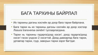 бага тархи1 | PPT