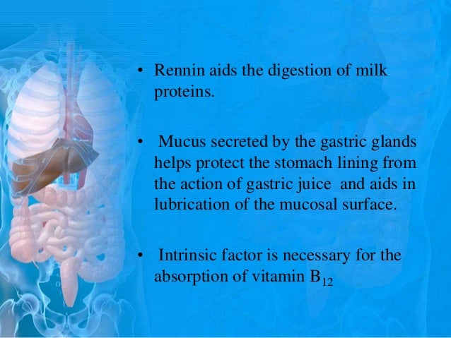 1.digestive juices