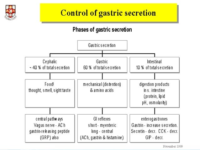gastric of juice composition juices 1.digestive