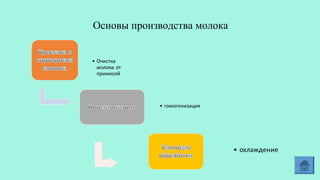 Основы производства молока
  
 