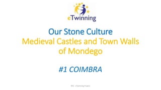 Our Stone Culture
Medieval Castles and Town Walls
of Mondego
#1 COIMBRA
8ºA - eTwinning Project
 