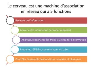 Recevoir de l’information
Ancrer cette information ( encoder rappeler)
Analyser, reconnaître les modèles et traiter l’information
Produire , réfléchir, communiquer ou créer
Contrôler l’ensemble des fonctions mentales et physiques
Le cerveau est une machine d’association
en réseau qui a 5 fonctions
 