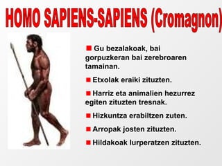 Gu bezalakoak, bai
gorpuzkeran bai zerebroaren
tamainan.
Etxolak eraiki zituzten.
Harriz eta animalien hezurrez
egiten zituzten tresnak.
Hizkuntza erabiltzen zuten.
Arropak josten zituzten.
Hildakoak lurperatzen zituzten.
 