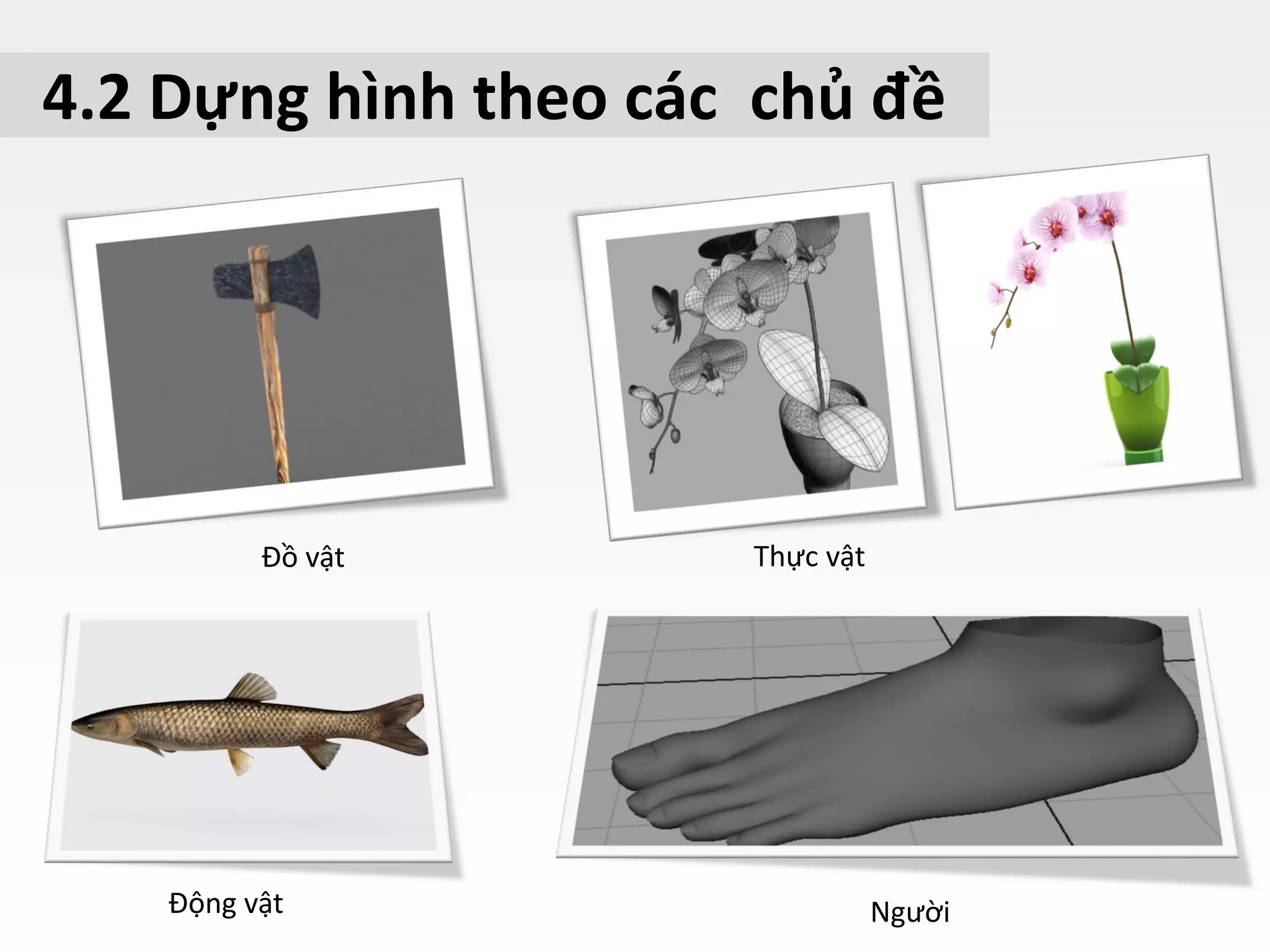 4.2 Dựng hình theo các chủ đề
Đồ vật
NgườiĐộng vật
Thực vật
 