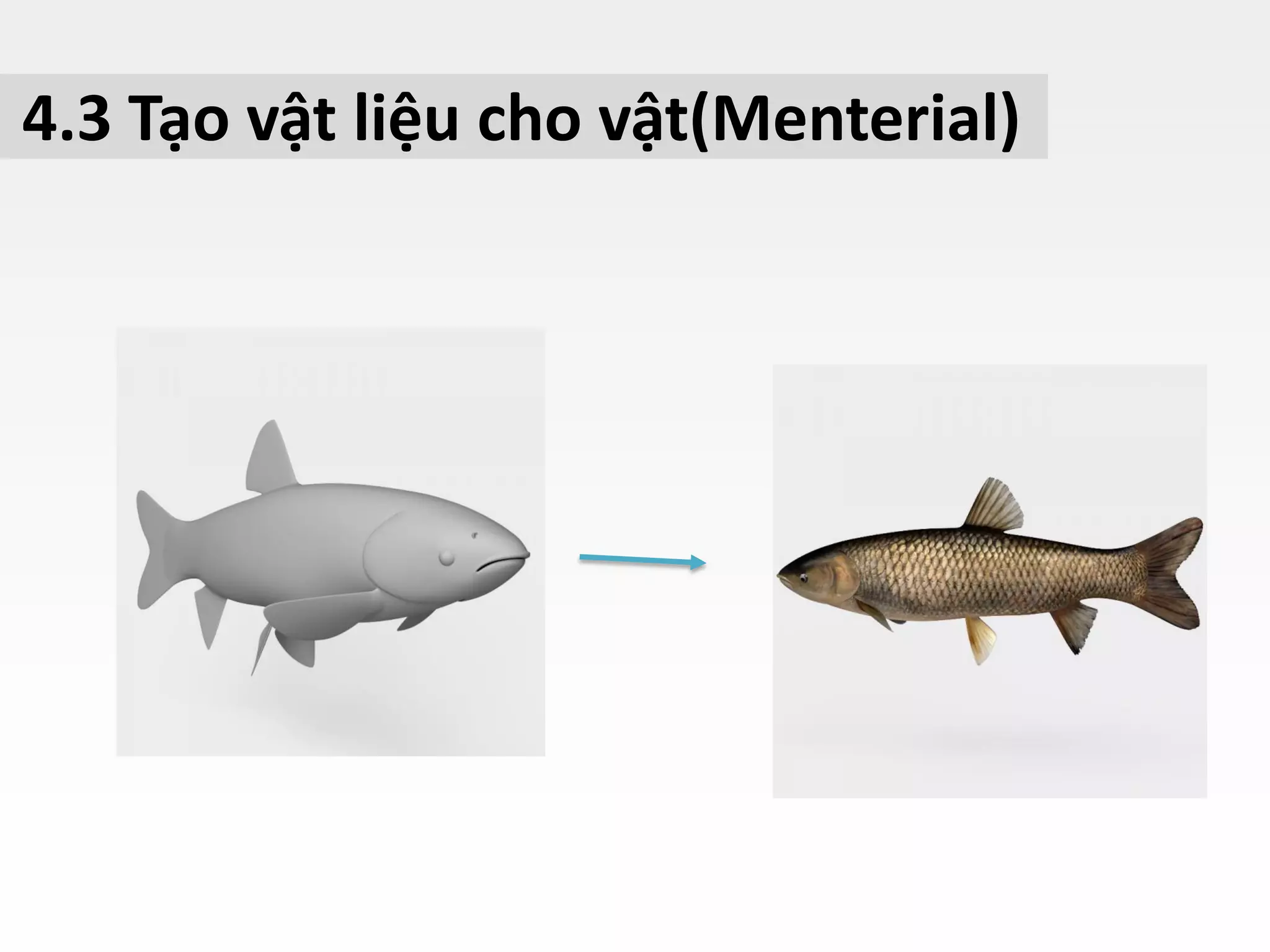 4.3 Tạo vật liệu cho vật(Menterial)
 