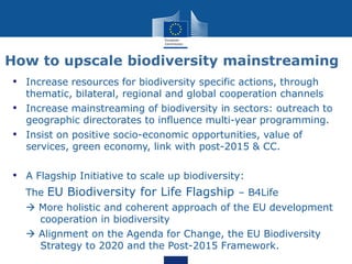 How to upscale biodiversity mainstreaming
• Increase resources for biodiversity specific actions, through
thematic, bilateral, regional and global cooperation channels
• Increase mainstreaming of biodiversity in sectors: outreach to
geographic directorates to influence multi-year programming.
• Insist on positive socio-economic opportunities, value of
services, green economy, link with post-2015 & CC.
• A Flagship Initiative to scale up biodiversity:
The EU Biodiversity for Life Flagship – B4Life
 More holistic and coherent approach of the EU development
cooperation in biodiversity
 Alignment on the Agenda for Change, the EU Biodiversity
Strategy to 2020 and the Post-2015 Framework.
 