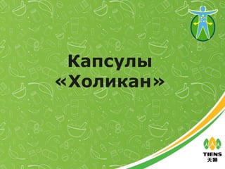 Капсулы
«Холикан»
 