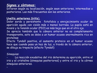 Signos y síntomas:
Difieren según su localización, según sean anteriores, intermedias o
posteriores. Las más frecuentes son las anteriores.
 
Uveítis anteriores (iritis).
Dolor sordo y persistente fotofobia y enrojecimiento ocular de
aparición aguda con visión más o menos borrosa. La pupila está en
miosis y la tensión ocular (PIO) es más baja que en el otro ojo.
Se aprecia también que la cámara anterior no es completamente
transparente, esto se debe a un humor acuoso anormalmente rico en
proteínas
Efecto Tyndall positivo, el aumento proteico en el humor acuoso
hace que cuando pasa un haz de luz, a través de la cámara anterior,
se dibuja su trayecto (efecto Tyndall)
Sinequias:
-         La reacción exudativa del iris determina su aparición, entre el
iris y el cristalino (sinequias posteriores) y entre el iris y la córnea
sinequias anteriores.
-        
 