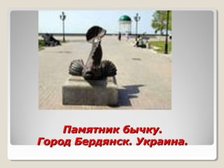 Памятник бычку.Памятник бычку.
Город Бердянск. Украина.Город Бердянск. Украина.
 