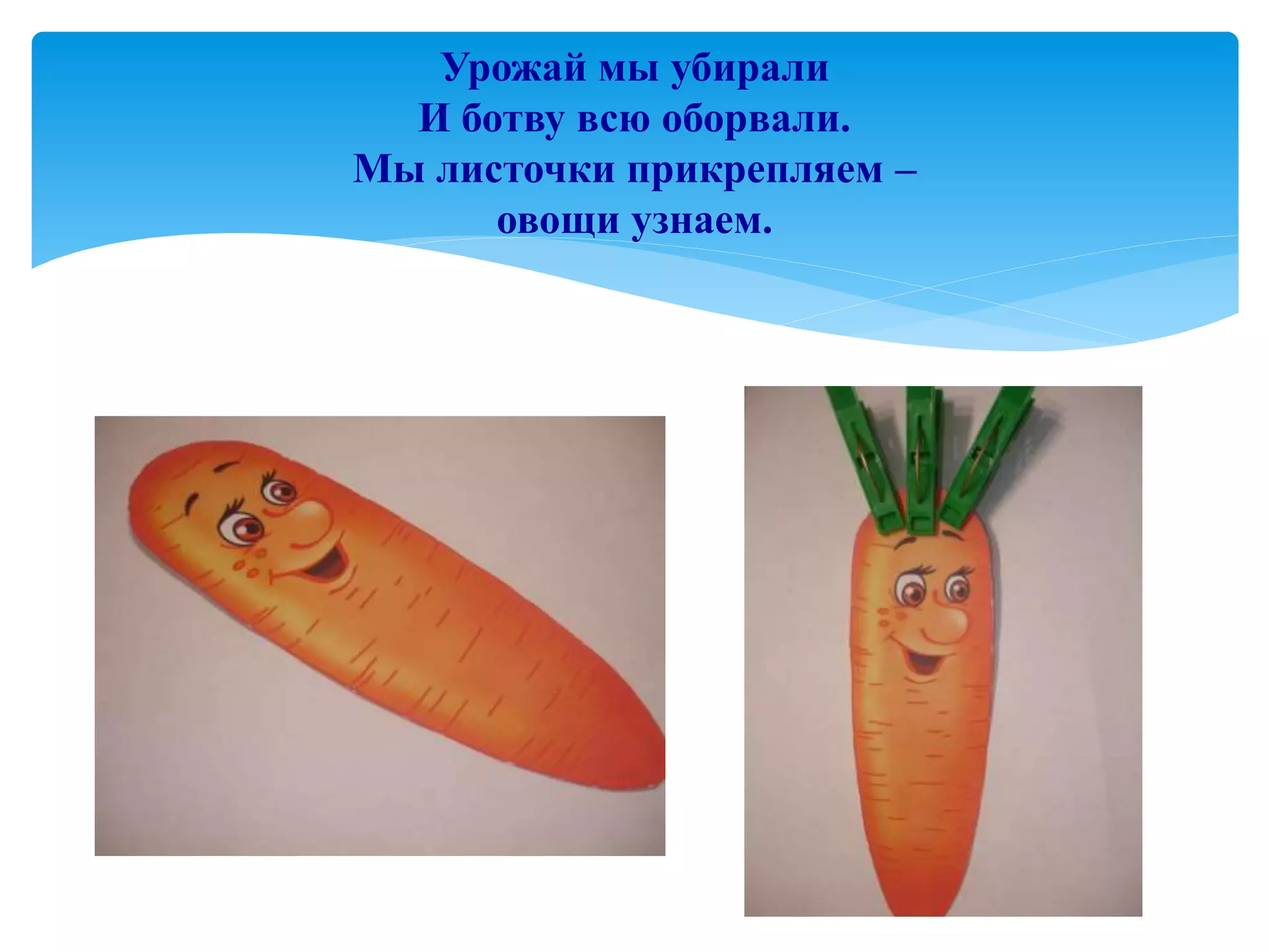 Урожай мы убирали
И ботву всю оборвали.
Мы листочки прикрепляем –
овощи узнаем.
 