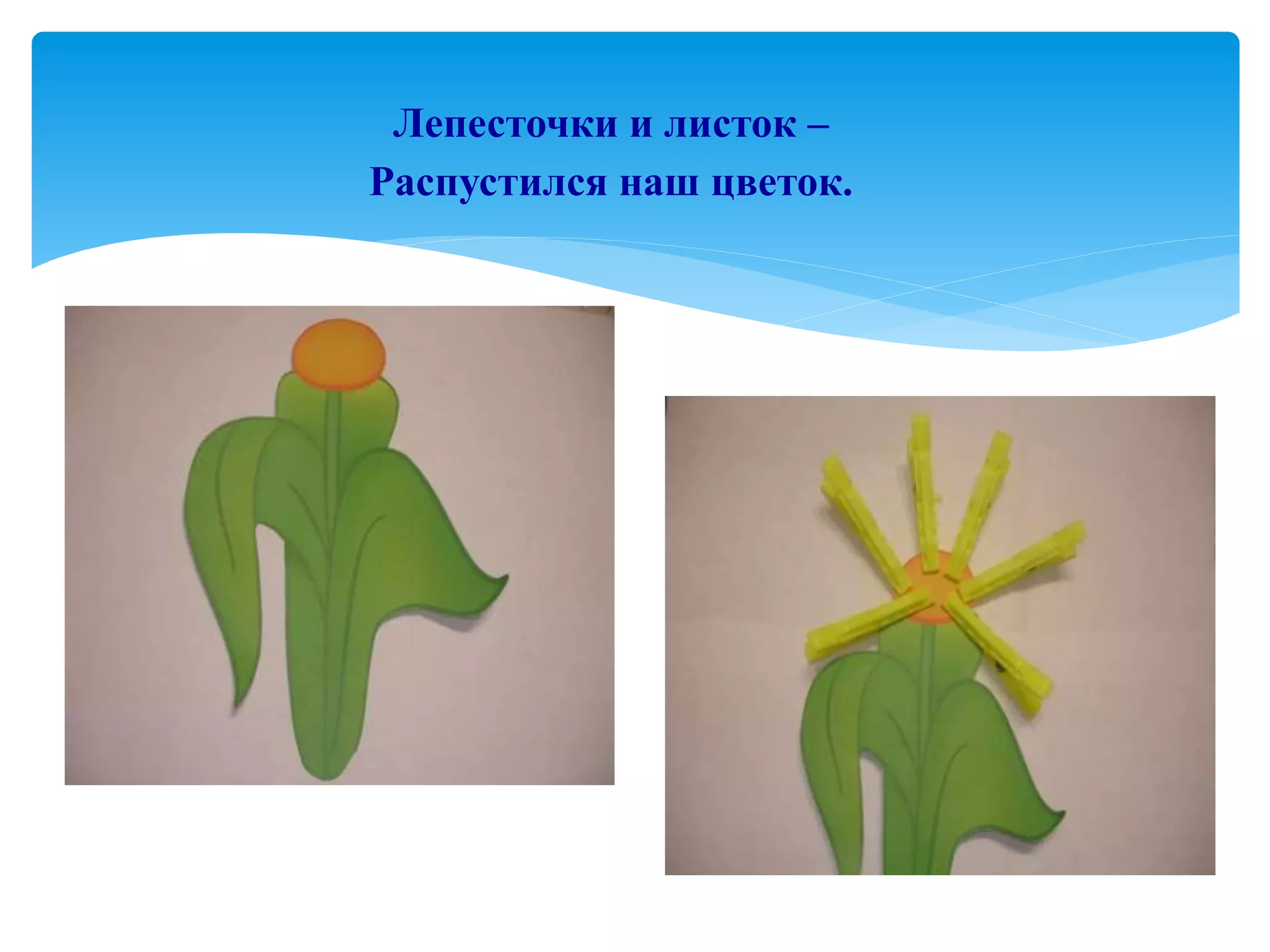 Лепесточки и листок –
Распустился наш цветок.
 