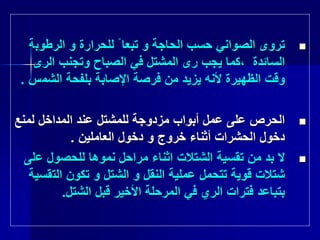‫الرطوب‬ ‫و‬ ‫للحرارة‬ ً ‫تبعا‬ ‫و‬ ‫الحاجة‬ ‫حسب‬ ‫الصواني‬ ‫تروى‬‫ة‬
‫السائدة‬‫الرى‬ ‫وتجنب‬ ‫الصباح‬ ‫في‬ ‫المشتل‬ ‫رى‬ ‫يجب‬ ‫،كما‬
‫الشم‬ ‫بلفحة‬ ‫اإلصابة‬ ‫فرصة‬ ‫من‬ ‫يزيد‬ ‫ألنه‬ ‫الظهيرة‬ ‫وقت‬‫س‬.
‫لمنع‬ ‫المداخل‬ ‫عند‬ ‫للمشتل‬ ‫مزدوجة‬ ‫أبواب‬ ‫عمل‬ ‫على‬ ‫الحرص‬
‫العاملين‬ ‫دخول‬ ‫و‬ ‫خروج‬ ‫أثناء‬ ‫الحشرات‬ ‫دخول‬.
‫تقسية‬ ‫من‬ ‫بد‬ ‫ال‬‫الشتالت‬‫ع‬ ‫للحصول‬ ‫نموها‬ ‫مراحل‬ ‫اثناء‬‫لى‬
‫و‬ ‫النقل‬ ‫عملية‬ ‫تتحمل‬ ‫قوية‬ ‫شتالت‬‫الشتل‬‫الت‬ ‫تكون‬ ‫و‬‫قسية‬
‫الري‬ ‫فترات‬ ‫بتباعد‬‫الشتل‬ ‫قبل‬ ‫األخير‬ ‫المرحلة‬ ‫في‬.
 