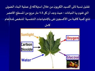 ‫نسب‬ ‫تقليل‬‫ة‬‫ال‬ ‫عملية‬ ‫فى‬‫استهالكه‬‫خالل‬ ‫من‬‫ن‬‫الكربو‬‫أكسيد‬‫ثانى‬‫الضوئى‬ ‫بناء‬
‫الت‬‫ي‬‫النباتات‬‫بها‬‫تقوم‬‫؛‬‫كل‬‫أن‬ ‫وجد‬ ‫حيث‬1.5‫األخضر‬ ‫املسطح‬‫من‬‫مربع‬‫متر‬
‫لش‬ ‫التنفسية‬‫باإلحتياجات‬ ‫تفى‬ ‫األكسجين‬‫من‬‫كافية‬ ‫كمية‬ ‫تنتج‬‫عام‬ ‫ملدة‬‫خص‬
‫كامل‬
 
