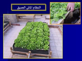 ‫العميق‬ ‫املائى‬ ‫النظام‬
 