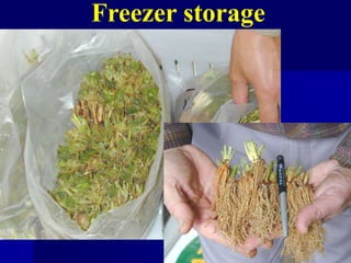 Freezer storage
 