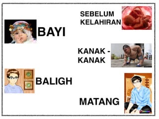 SEBELUM
KELAHIRAN
BAYI
KANAK -
KANAK
BALIGH
MATANG
 