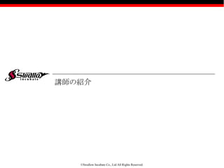 ©Swallow Incubate Co., Ltd All Rights Reserved.
講師の紹介
 