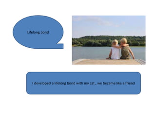 Lifelong bond
I developed a lifelong bond with my cat , we became like a friend
 