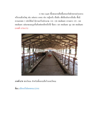 1) ซอง (stall) พื้นซองอาจเปนพื้นคอนกรีตผิวหยาบปานกลาง
หรือรองดวยวัสดุ เชน แผนยาง แกลบ ฟาง หญาแหง เปนตน เพื่อปองกันการลื่นลม พื้นมี
ความลาดเท 3 เปอรเซ็นต มีความกวางประมาณ 110 – 120 เซนติเมตร ความยาว 155 – 160
เซนติเมตร แตละซองจะถูกกั้นดวยทอเหล็กหรือไม ซึ่งยาว 105 เซนติเมตร สูง 100 เซนติเมตร
(ภาพที่ 4.70-4.71)
ภาพที่ 4.70 ซองโคนม สําหรับเลี้ยงแบบยืนโรงและรีดนม
ที่มา: บล็อกแกงคดอทคอม (2554)
 