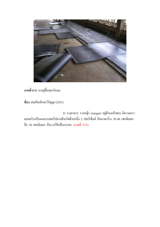 ภาพที่ 4.71 ยางปูพื้นซองโคนม
ที่มา: สมเกียรติและวิรัญญา (2551)
2) รางอาหาร รางหญา (manger) อยูดานหนาซอง มีความยาว
ตลอดโรงเรือนและลาดเทไปทางดานใดดานหนึ่ง 2 เปอรเซ็นต มีขนาดกวาง 70–80 เซนติเมตร
ลึก 30 เซนติเมตร กนรางโคงเปนกระทะ (ภาพที่ 4.72)
 