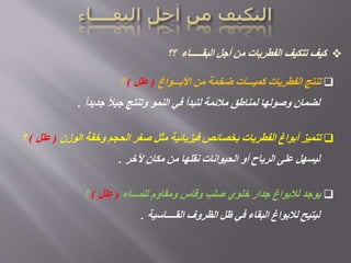 ‫األبـــواغ‬ ‫من‬ ‫ضخمة‬ ‫كميـــات‬ ‫الفطريات‬ ‫تنتج‬(‫علل‬)‫؟‬
ً‫ا‬‫جديد‬ ً‫ال‬‫جي‬ ‫وتنتج‬ ‫النمو‬ ‫في‬ ‫لتبدأ‬ ‫مالئمة‬ ‫لمناطق‬ ‫وصولها‬ ‫لضمان‬.
‫الوزن‬ ‫وخفة‬ ‫الحجم‬ ‫صغر‬ ‫مثل‬ ‫فيزيائية‬ ‫بخصائص‬ ‫الفطريات‬ ‫أبواغ‬ ‫تتميز‬(‫علل‬)‫؟‬
‫آلخر‬ ‫مكان‬ ‫من‬ ‫نقلها‬ ‫الحيوانات‬ ‫أو‬ ‫الرياح‬ ‫على‬ ‫ليسهل‬.
‫للمـــاء‬ ‫ومقاوم‬ ‫وقاس‬ ‫صلب‬ ‫خلوي‬ ‫جدار‬ ‫لالبواغ‬ ‫يوجد‬(‫علل‬)‫؟‬
‫القــــاسية‬ ‫الظروف‬ ‫ظل‬ ‫في‬ ‫البقاء‬ ‫لالبواغ‬ ‫ليتيح‬.
 