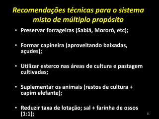 • Preservar forrageiras (Sabiá, Mororó, etc);
• Formar capineira (aproveitando baixadas,
açudes);
• Utilizar esterco nas áreas de cultura e pastagem
cultivadas;
• Suplementar os animais (restos de cultura +
capim elefante);
• Reduzir taxa de lotação; sal + farinha de ossos
(1:1);
Recomendações técnicas para o sistema
misto de múltiplo propósito
11
 