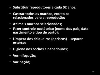 • Substituir reprodutores a cada 02 anos;
• Castrar todos os machos, exceto os
relacionados para a reprodução;
• Animais machos selecionados;
• Fazer controle zootécnico (nome dos pais, data
nascimento e tipo de parto);
• Limpeza dos chiqueiros (apriscos) – separar
esterco;
• Higiene nos cochos e bebedouros;
• Vermifugação;
• Vacinação;
12
 