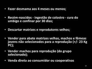• Fazer desmama aos 4 meses ou menos;
• Recém-nascidos - ingestão de colostro - cura do
umbigo e confinar por 30 dias;
• Descartar matrizes e reprodutores velhos;
• Vender para abate matrizes velhas, machos e fêmeas
jovens não selecionados para a reprodução (+/- 23 Kg
PC);
• Vender machos para reprodução (do grupo
selecionado);
• Venda direta ao consumidor ou cooperativas
14
 