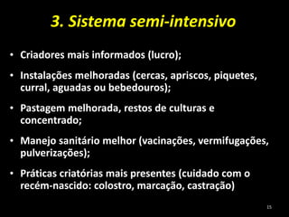 3. Sistema semi-intensivo
• Criadores mais informados (lucro);
• Instalações melhoradas (cercas, apriscos, piquetes,
curral, aguadas ou bebedouros);
• Pastagem melhorada, restos de culturas e
concentrado;
• Manejo sanitário melhor (vacinações, vermifugações,
pulverizações);
• Práticas criatórias mais presentes (cuidado com o
recém-nascido: colostro, marcação, castração)
15
 