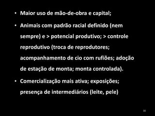 • Maior uso de mão-de-obra e capital;
• Animais com padrão racial definido (nem
sempre) e > potencial produtivo; > controle
reprodutivo (troca de reprodutores;
acompanhamento de cio com rufiões; adoção
de estação de monta; monta controlada).
• Comercialização mais ativa; exposições;
presença de intermediários (leite, pele)
16
 