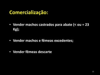 Comercialização:
• Vender machos castrados para abate (< ou = 23
Kg);
• Vender machos e fêmeas excedentes;
• Vender fêmeas descarte
21
 