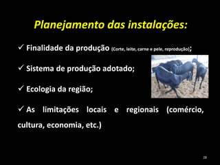 Planejamento das instalações:
 Finalidade da produção (Corte, leite, carne e pele, reprodução);
 Sistema de produção adotado;
 Ecologia da região;
 As limitações locais e regionais (comércio,
cultura, economia, etc.)
28
 
