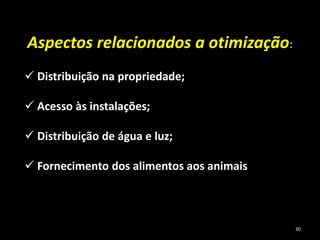 Aspectos relacionados a otimização:
 Distribuição na propriedade;
 Acesso às instalações;
 Distribuição de água e luz;
 Fornecimento dos alimentos aos animais
30
 