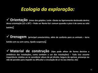 Ecologia da exploração:
 Orientação (eixos dos galpões: Leste –Oeste ou ligeiramente deslocado dentro
dessa orientação (12 a 20°) – Pode ser Norte-Sul: comum quando o piso é de cama ou solo
batido);
 Drenagem (principal característica, além de conforto para os animais – terra
batida com ou sem cama, ripado suspenso);
 Material de construção (tipo pode afetar de forma decisiva a
ambiência das instalações, como também a cor das instalações) – Tudo isso assume
importância relativa ao se considerar altura do pé direito, largura do aprisco, presença ou
não de paredes para impedir ou dificultar a circulação de ar no seu interior, etc)
31
 