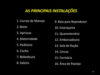 1. Currais de Manejo
2. Brete
3. Apriscos
4. Maternidade
5. Pedilúvio
6. Cocho
7. Bebedouro
8. Saleiro
AS PRINCIPAIS INSTALAÇÕES
9. Baia para Reprodutor
10. Esterqueira
11. Quarentenário
12. Embarcadouro
13. Sala de Ração
14. Cercas
15. Farmácia
16. Área de Pastejo
34
 