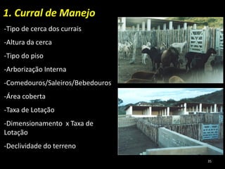 1. Curral de Manejo
-Tipo de cerca dos currais
-Altura da cerca
-Tipo do piso
-Arborização Interna
-Comedouros/Saleiros/Bebedouros
-Área coberta
-Taxa de Lotação
-Dimensionamento x Taxa de
Lotação
-Declividade do terreno
35
 